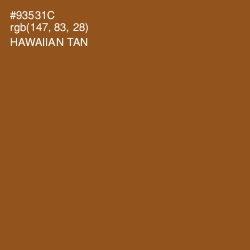 #93531C - Hawaiian Tan Color Image